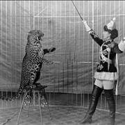 Picture Of Female Lion Tamer And Leopard